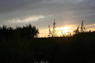IMG_7468
