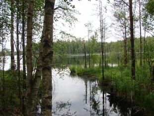 karel2007 104