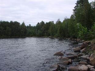 karel2007 222