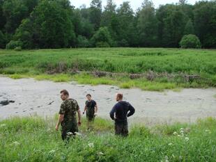 prokatsenokos 038