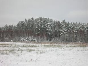 razved 140