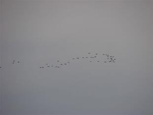 010507 111