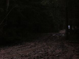 031206 030