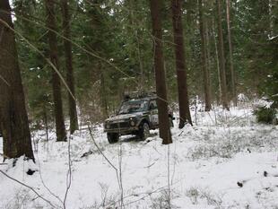 241107 005