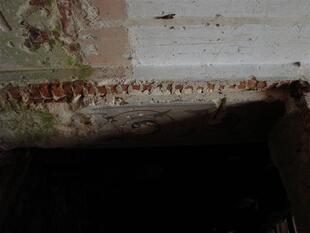 310307 029