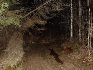 tank 146
